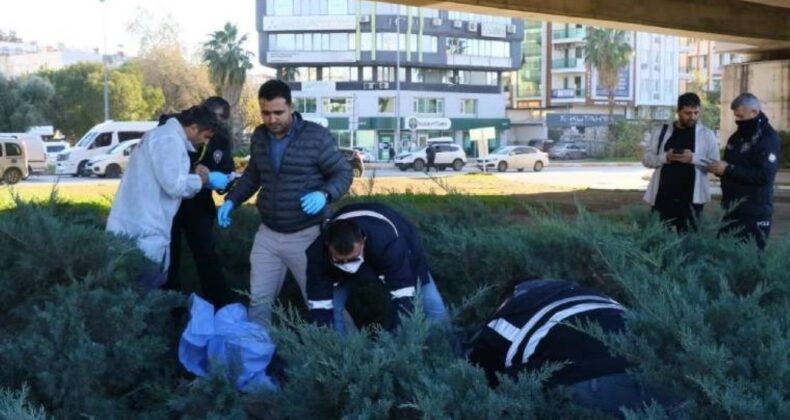 Antalya’da dehşet: Koku korkunç gerçeği ortaya çıkardı!