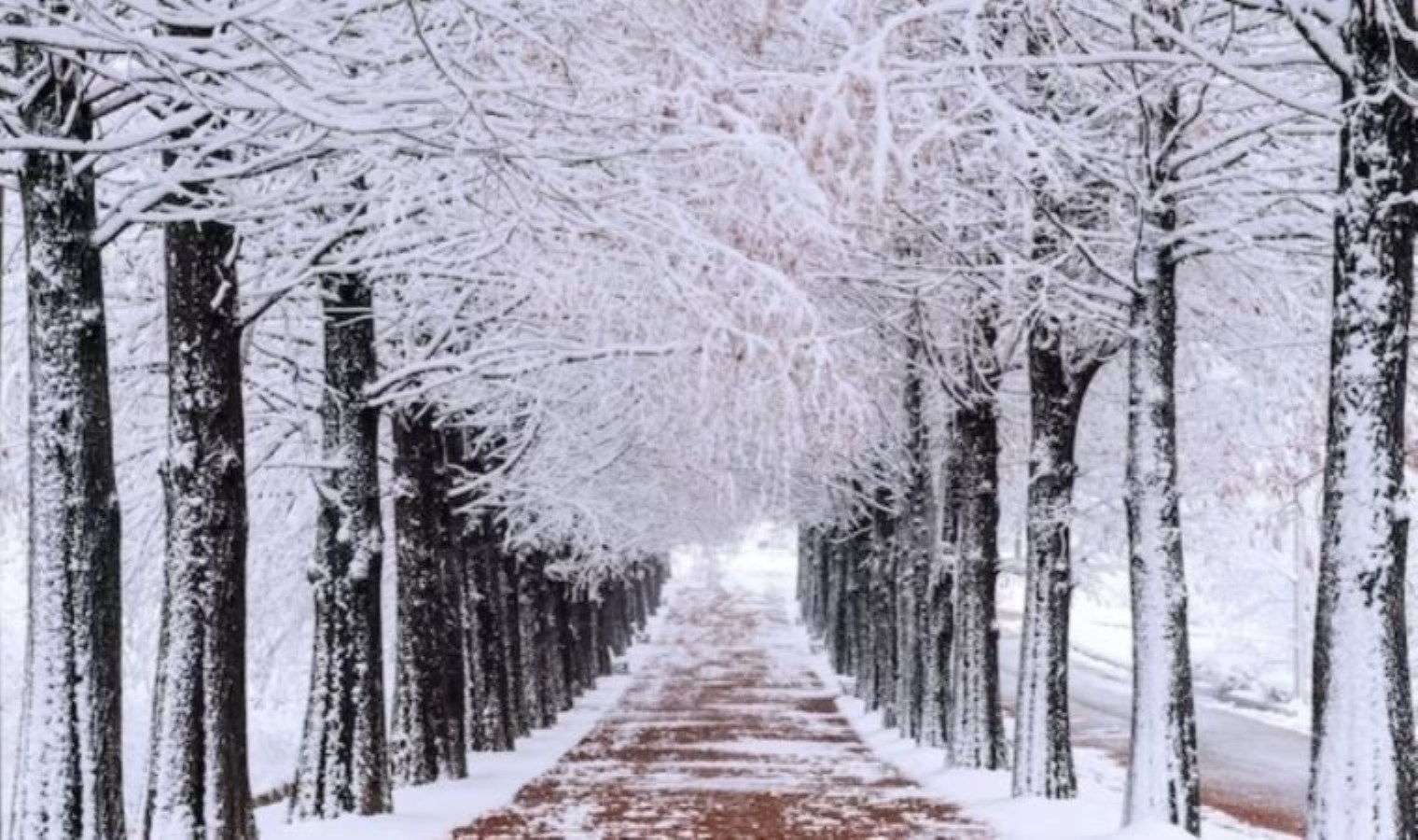 Antalya’nın yüksek kesimlerinde kar yağışı başladı