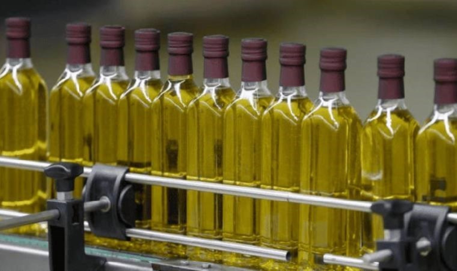 Aydın’da sahte zeytinyağı operasyonu… Binlerce litre ele geçirildi