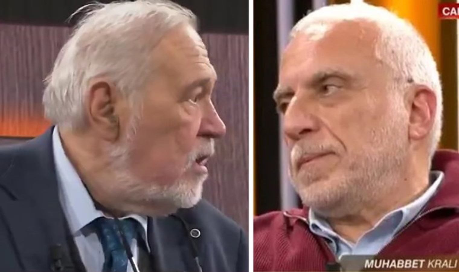 Canlı yayında gergin anlar: Soli Özel ile tartışan İlber Ortaylı yayını terk etti!