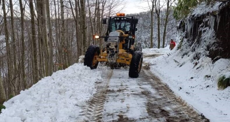 Doğu Karadeniz’de 330 yerleşim yerine ulaşım yok