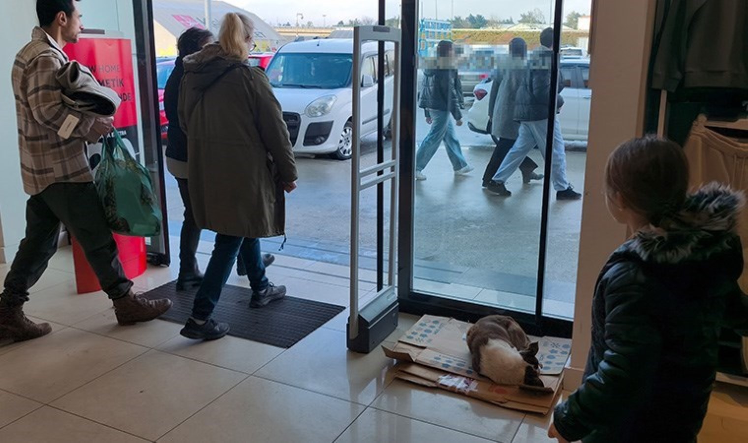 Edirne’de yürekleri ısıtan hareket: Yağmurda ıslanıp, üşüyen köpeği mağazaya aldılar