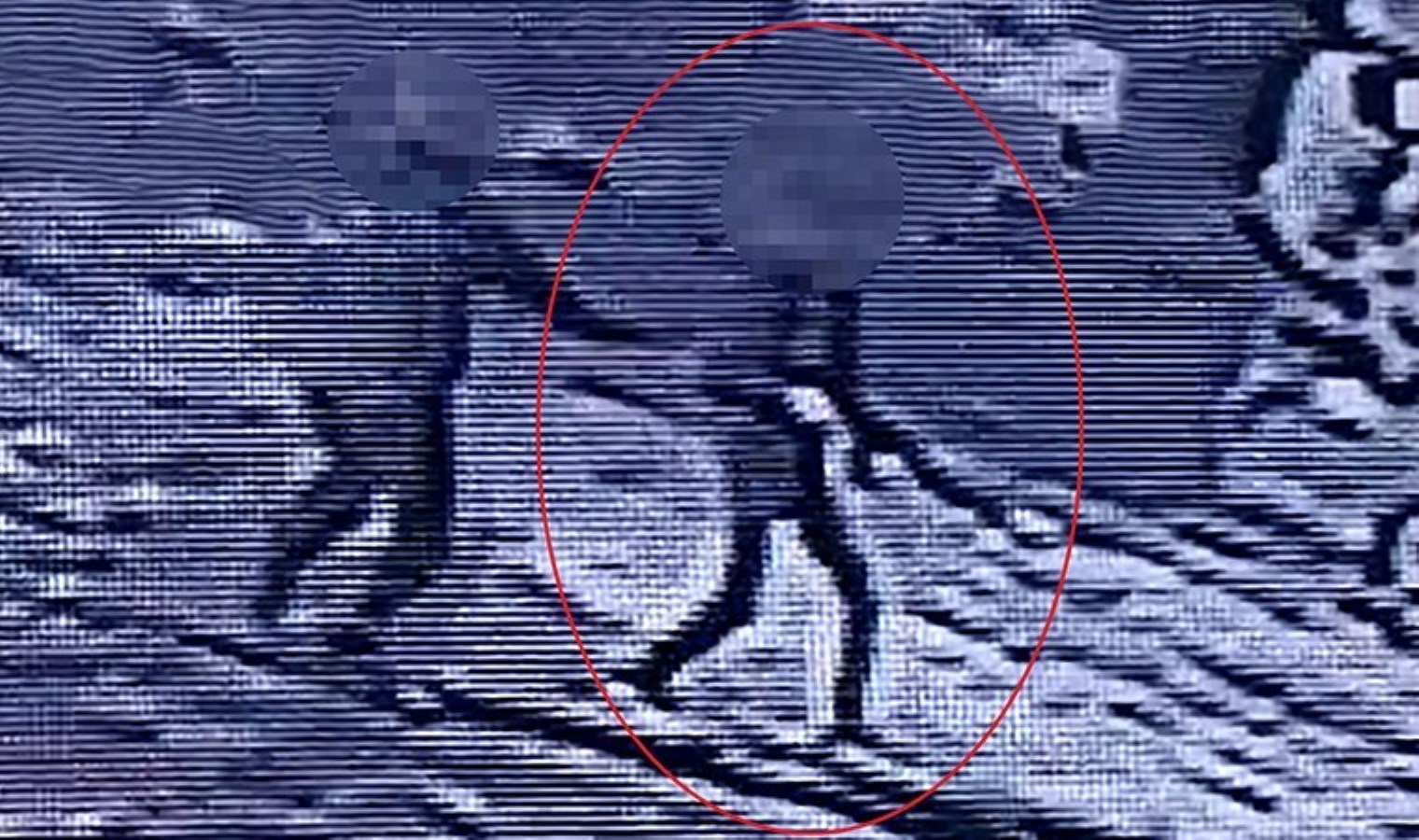 Erzurum’da dehşet: Tesisatını yaptığı iş yerine pompalı tüfekle saldırdı!