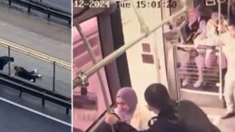 Esenyurt’ta metrobüsten düşen yolcu konuştu: ‘İnsanın başına gelmeyecek şey benim başıma geldi’