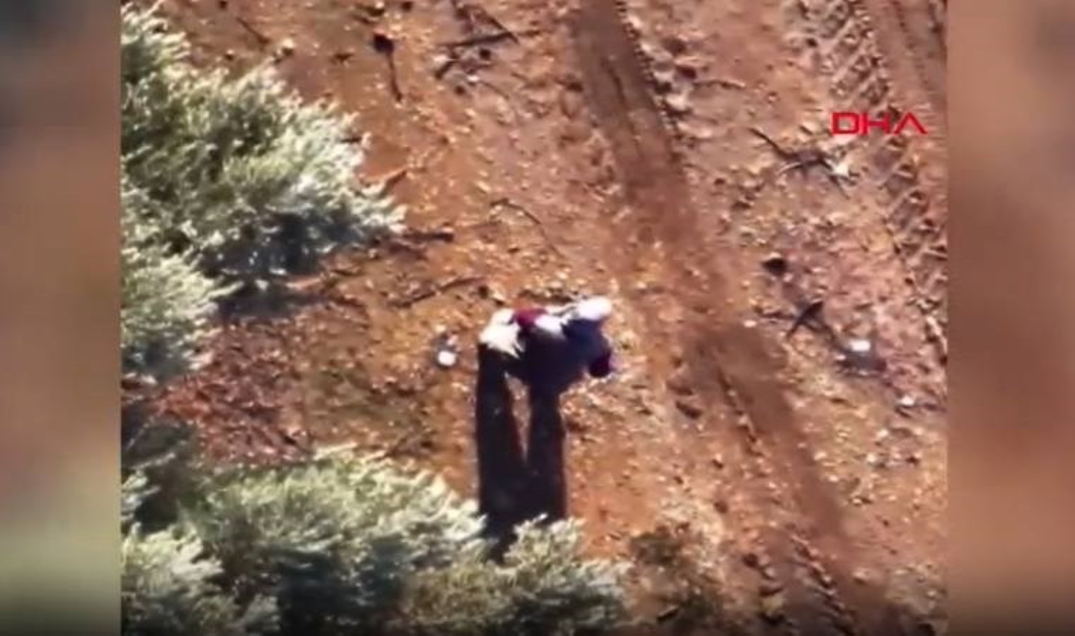 ‘Evime gidiyorum’ diyerek çıktı, zeytinlikte bulundu!