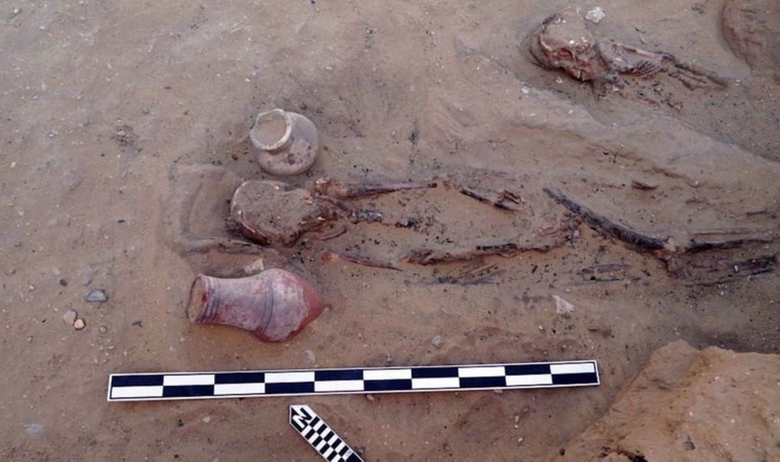 Firavunları tedavi eden ‘büyücü-doktorun’ mezarı keşfedildi