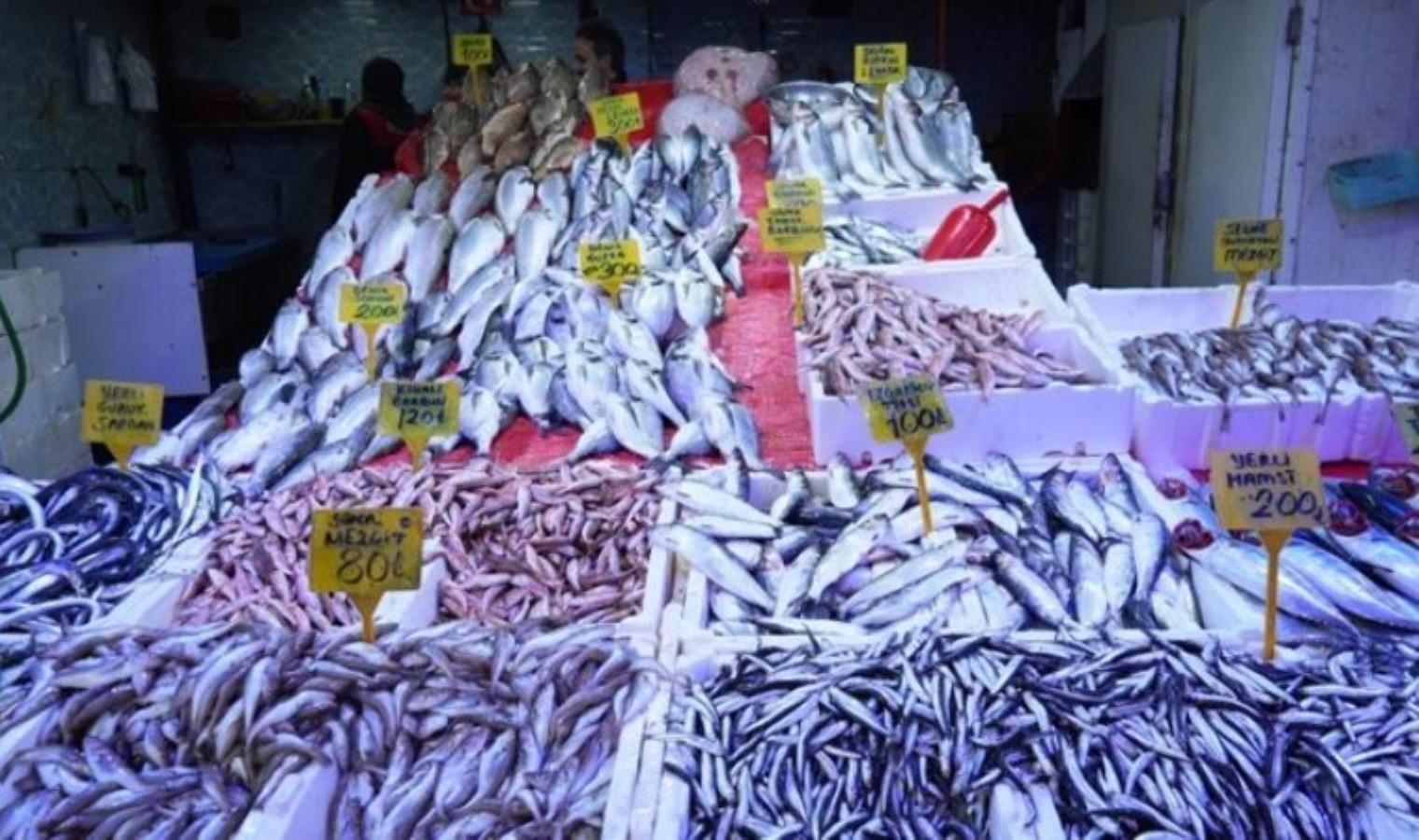 Fiyatı altınla yarışıyor! 5 kilo ağırlığına ulaşıyor…