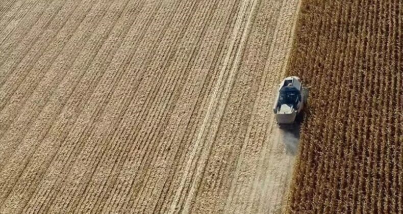 Giresun’da 20 bin çiftçi için son tarih 31 Aralık