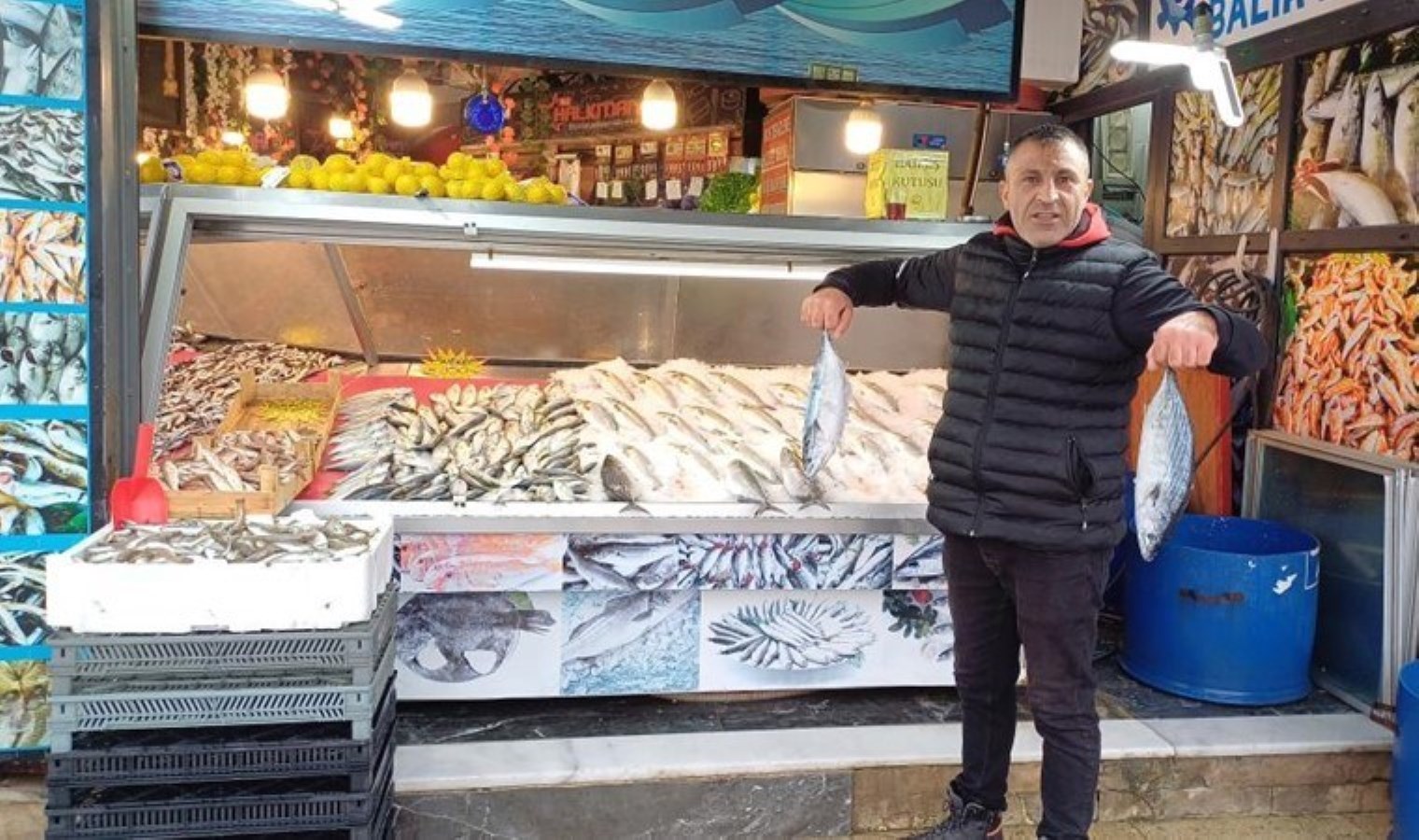 Hamsi tahtını devretti! Kilosu 100 TL…