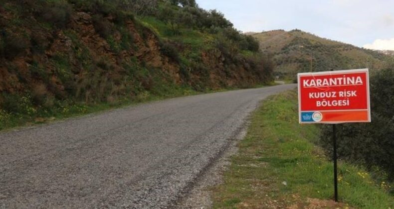 Hatay’da kuduz alarmı: Bir mahalle karantinaya alındı