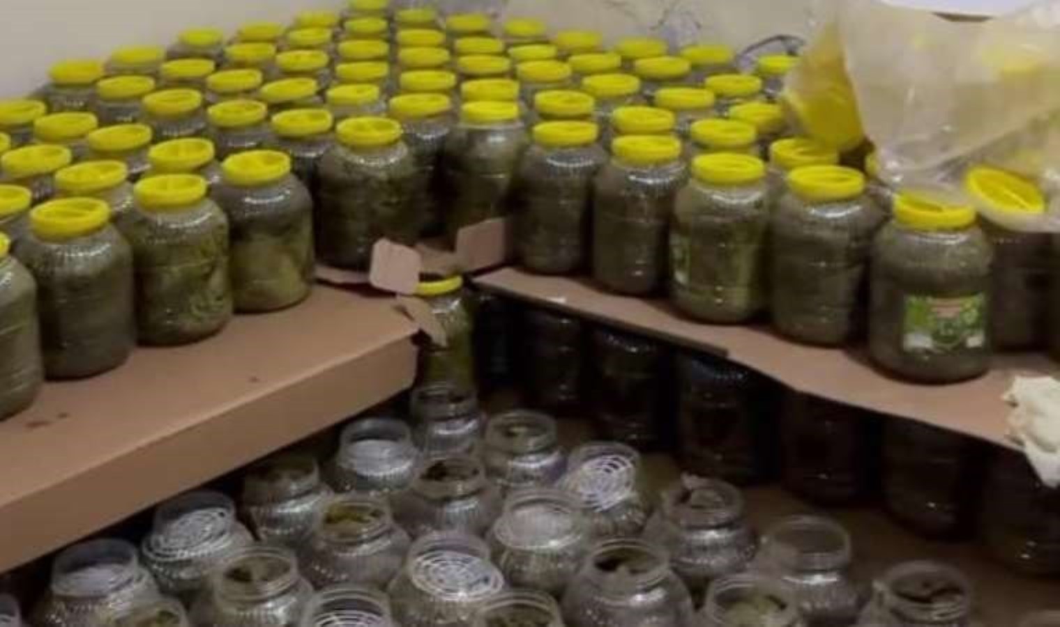 Hijyen şartlarına uygun olmayan kilolarca salamura ürün imha edildi