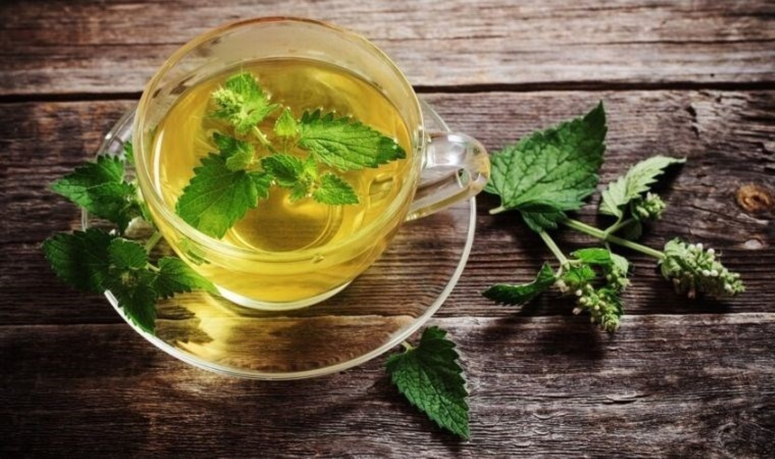 Hormonları dengeliyor, kadın sağlığına katkıda bulunuyor: Antibakteriyel etkiye sahip mucizevi çay