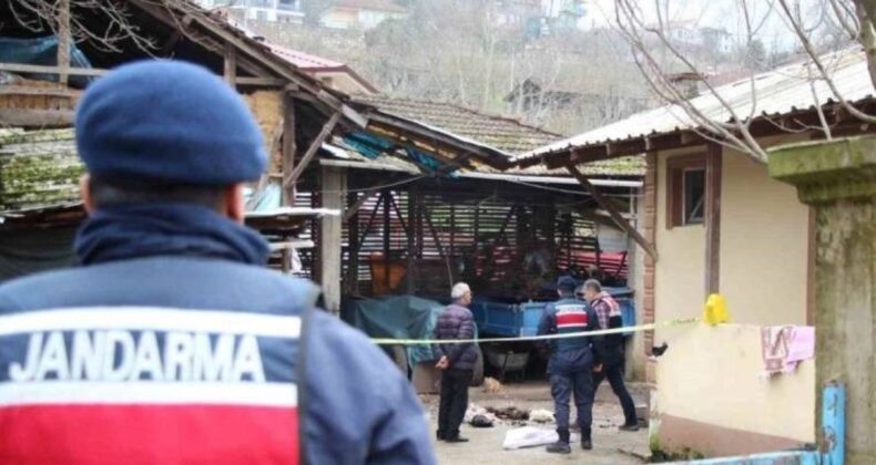 Horozlarının komşuya verildiğini duyunca dehşet saçtı