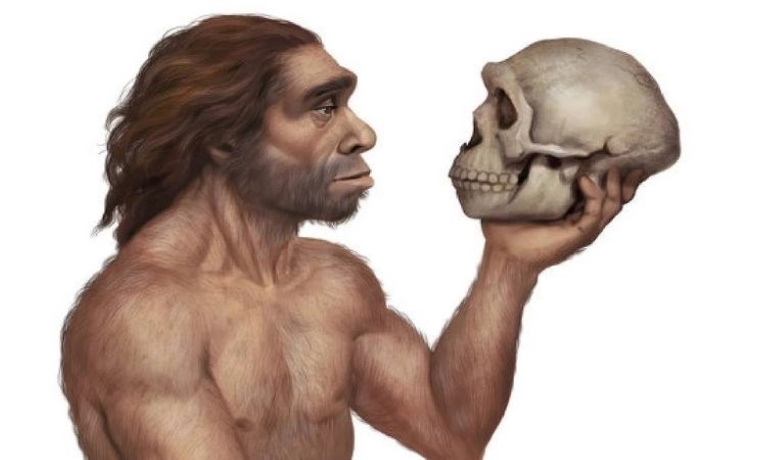 İnsanlığın 200 bin yaşındaki atası keşfedildi: Çin’de yeni bir insan türü bulundu