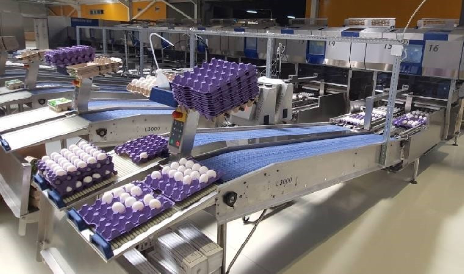 İzmir’de feci ölüm… Yumurta makinesi canından etti!