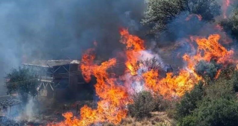 İzmir’de kaçak kazı yaparken orman yangını çıkaran sanıklar hakkında 18 yıla kadar hapis istemi