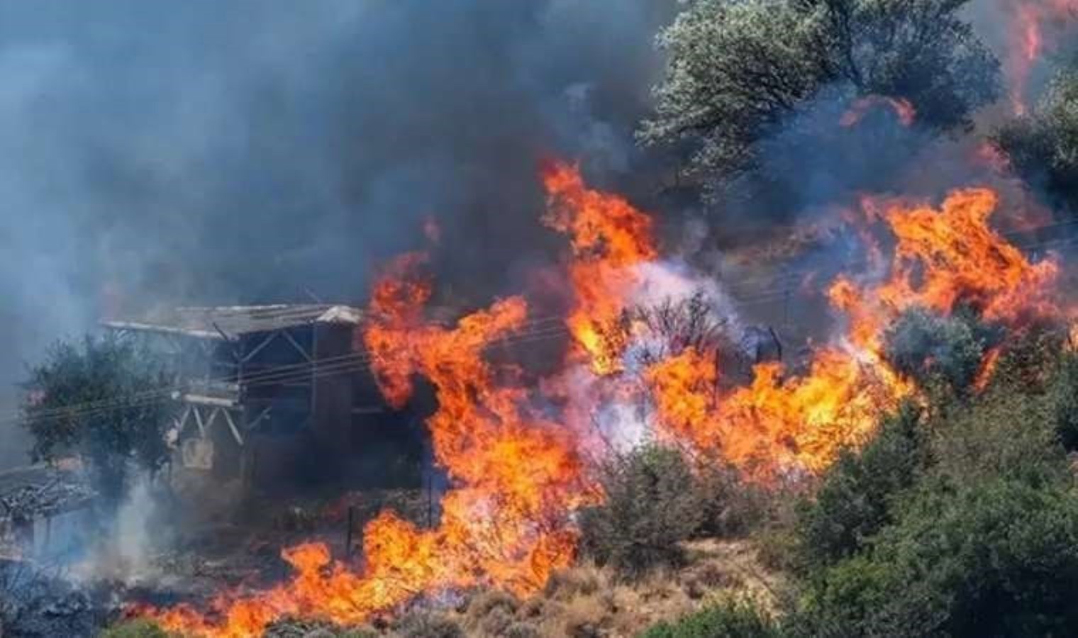 İzmir’de kaçak kazı yaparken orman yangını çıkaran sanıklar hakkında 18 yıla kadar hapis istemi