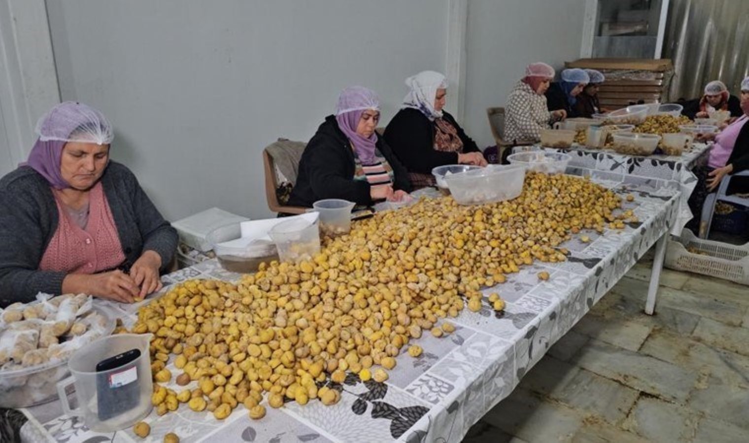 Japonların ilk tercihi! Nazilli’de üretiliyor :Yılda 500 ton….