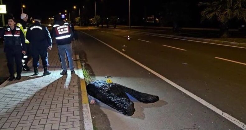 Kardeşini korumak istedi: Hayatını kaybetti