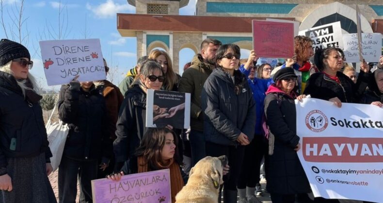 Köpeklerin bakım alanının dozerle yıkılmasına tepki: ‘Taleplerimiz gerçekleşmezse direnişimiz büyüyecek’