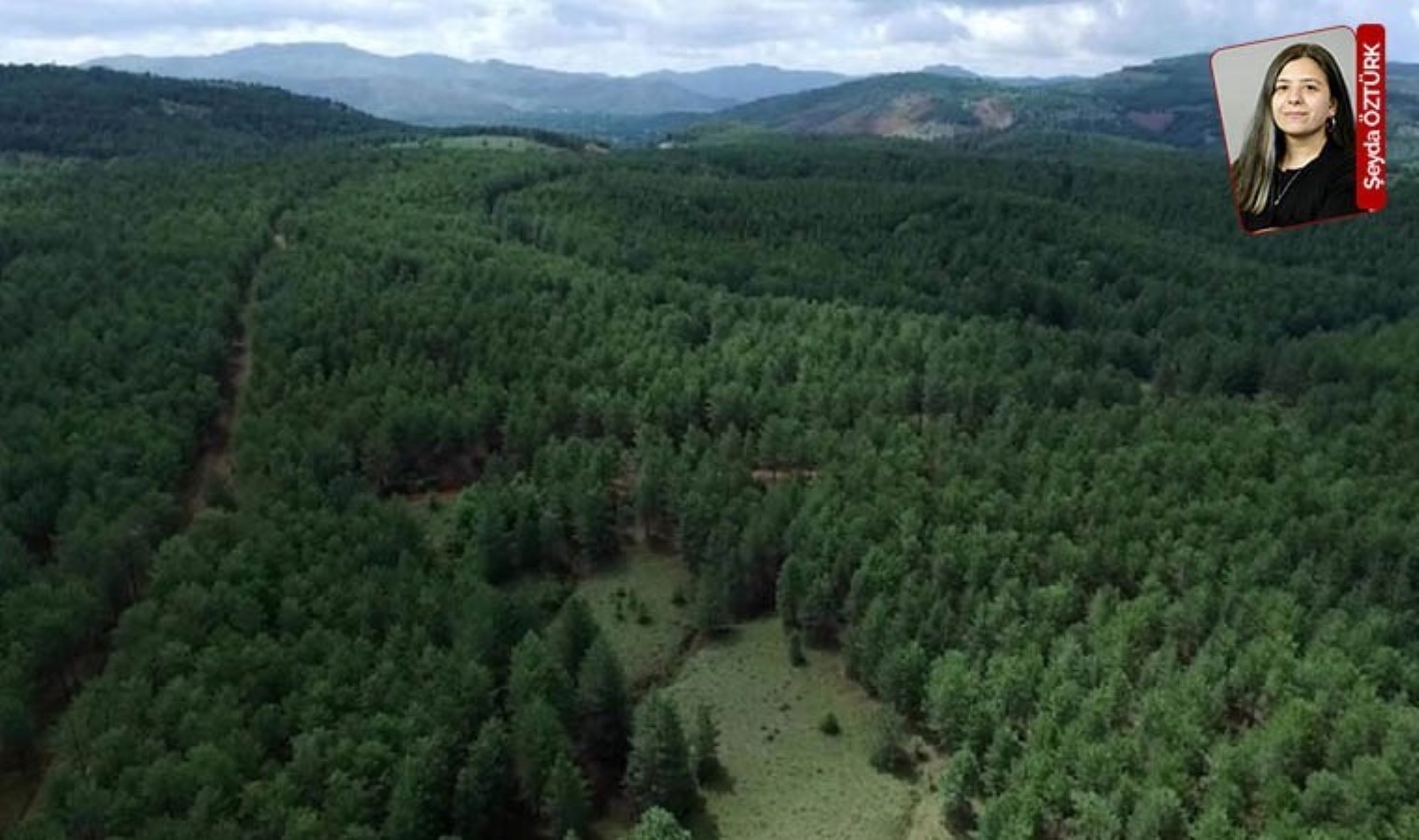 Krom madeni, 114 futbol sahası büyüklüğündeki alana genişlemek için onay aldı: 4 bin ağaç kesecekler