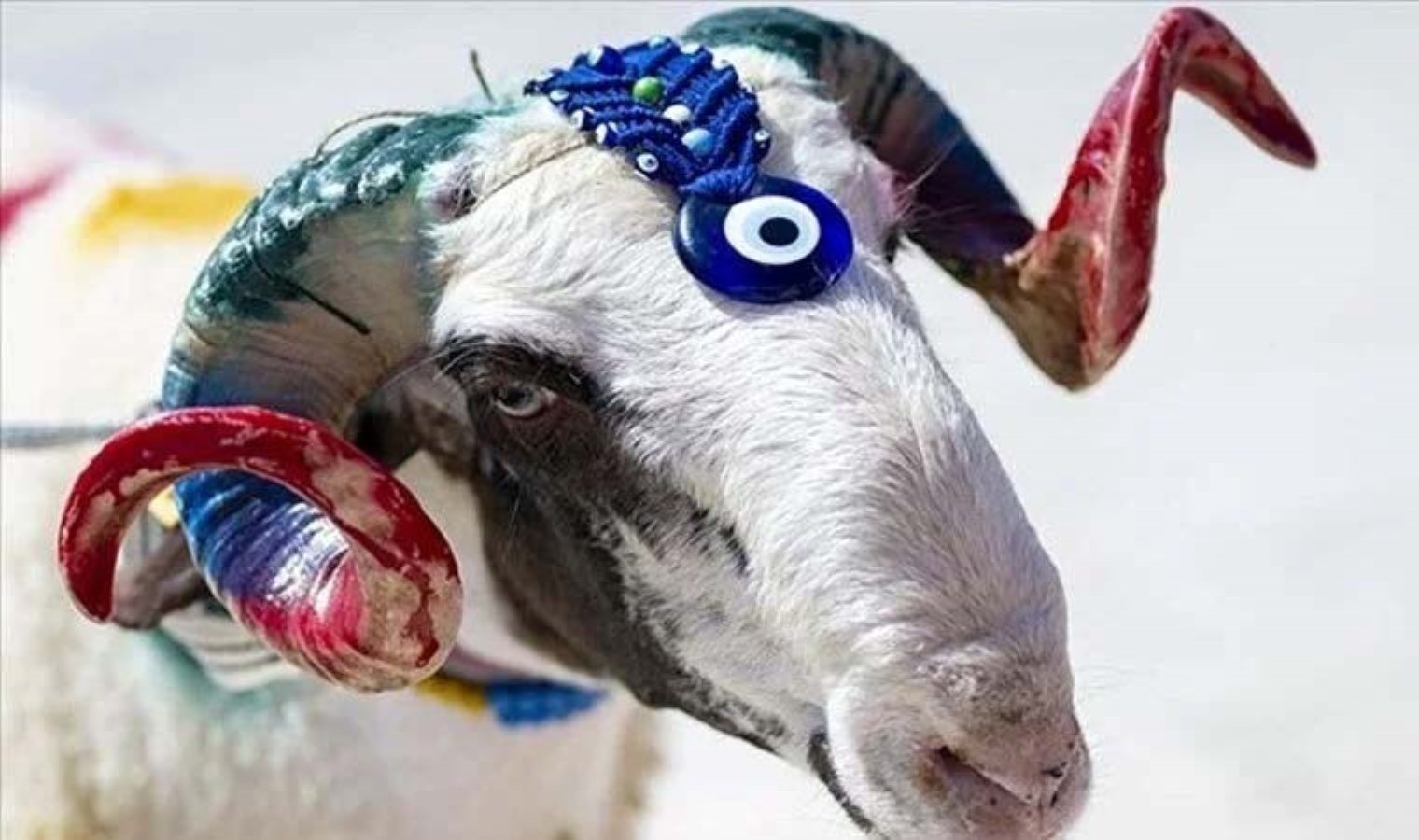 Kurban Bayramı ne zaman? Bayram tatili kaç gün olacak?