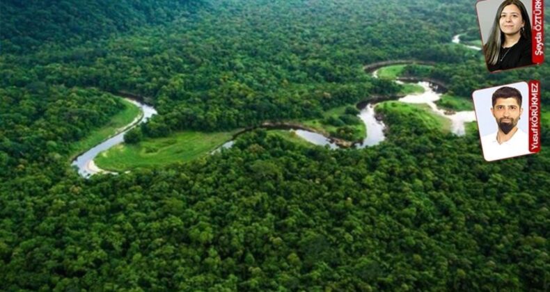 Kuzey ormanlarını rahat bırakmıyorlar, 8 türbin daha yapılacak: Santral giderek büyüyor