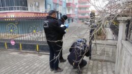 Malatya’da telefonda başlayan tartışma kanlı bitti: 1 ağır yaralı!