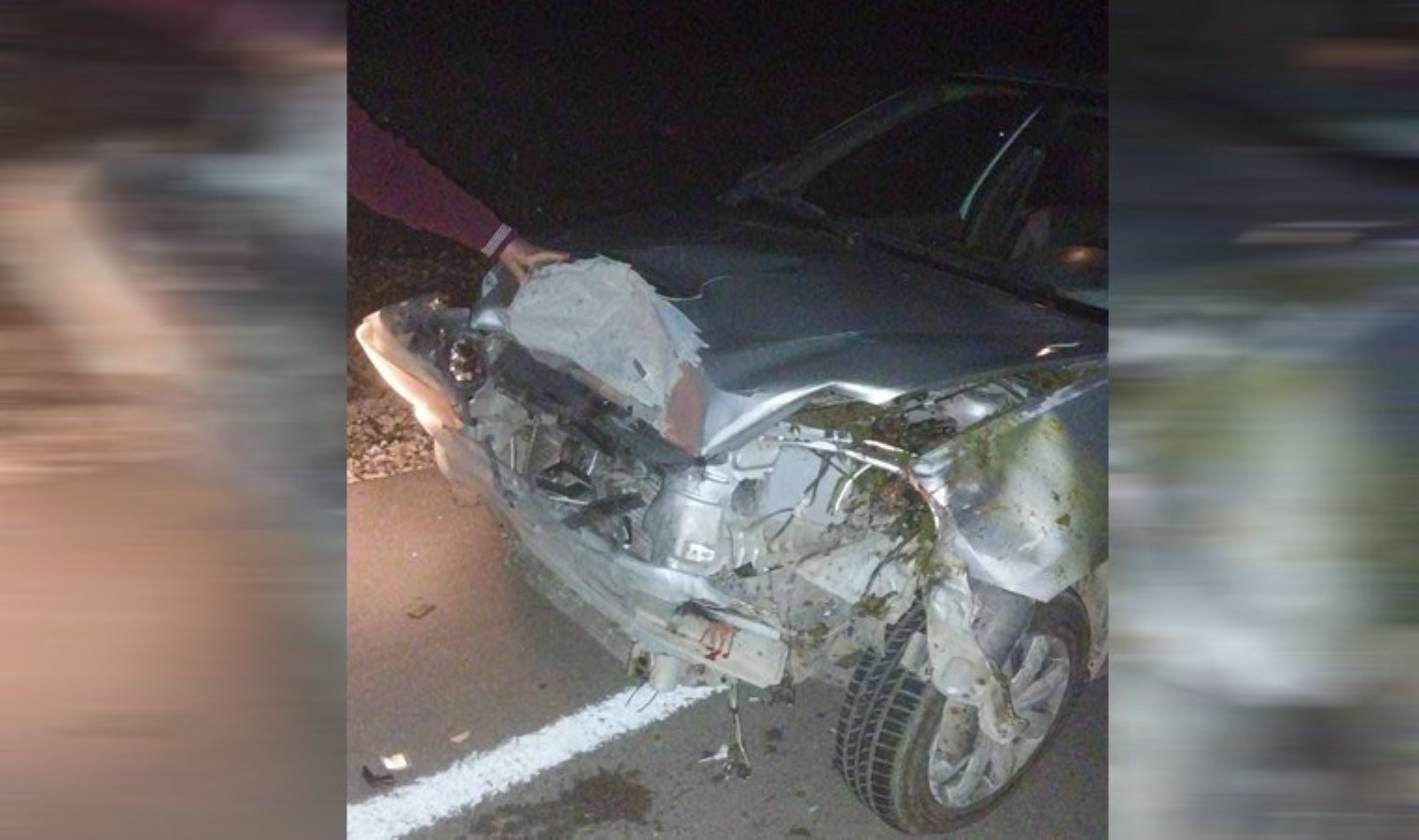 Mersin’de feci kaza… Araç sürüye çarptı: 4 hayvan öldü