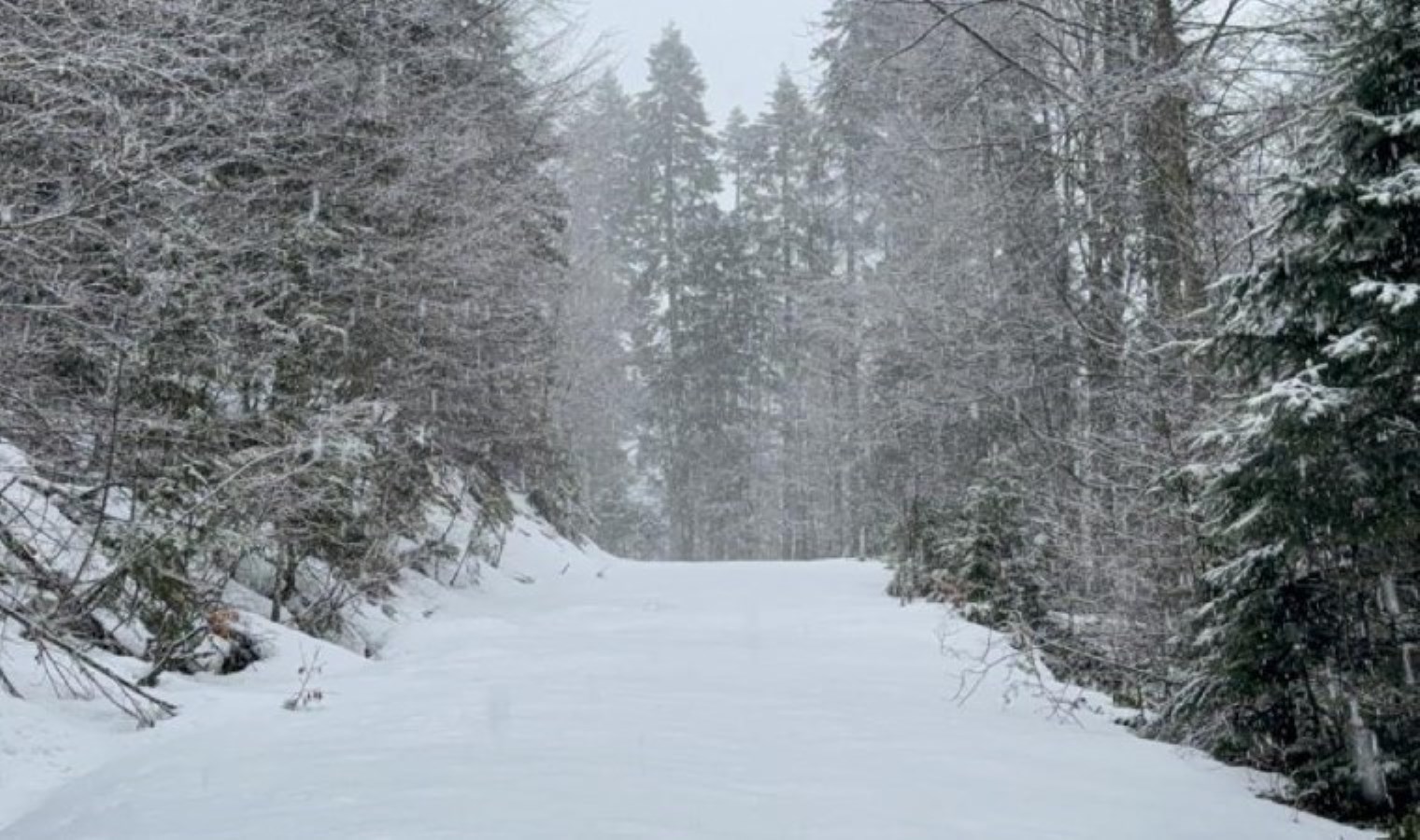 Meteoroloji uyarmıştı: Düzce’nin yüksek kesimlerinde kar etkili oluyor