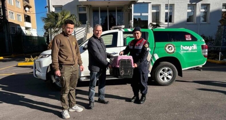 Sakarya’da kaçak avlanan kişiye para cezası