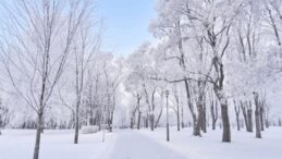 Sakarya’nın yüksek kesimlerinde kar yağışı başladı