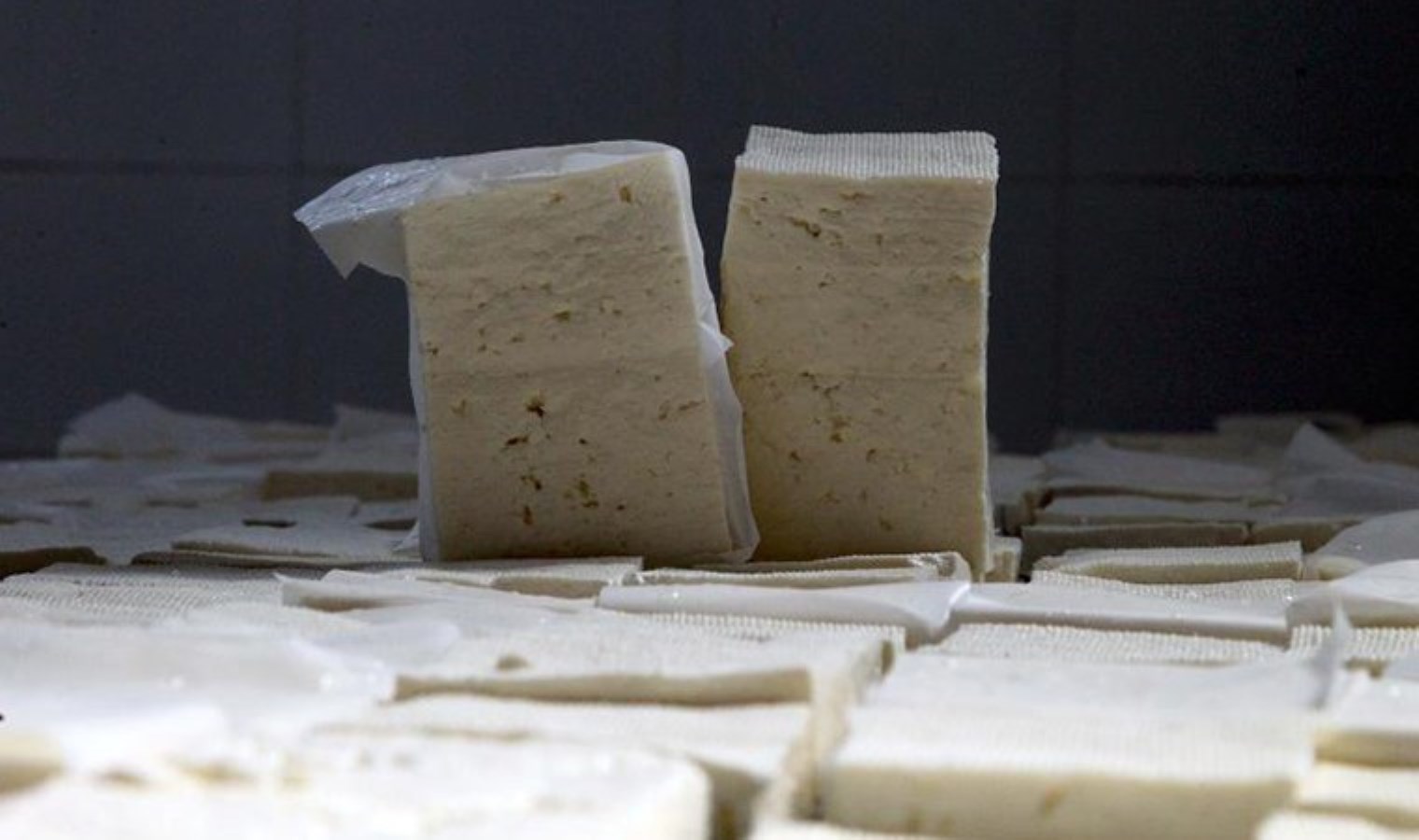 Samsun’da ‘peynir’ hırsızlığına gözaltı