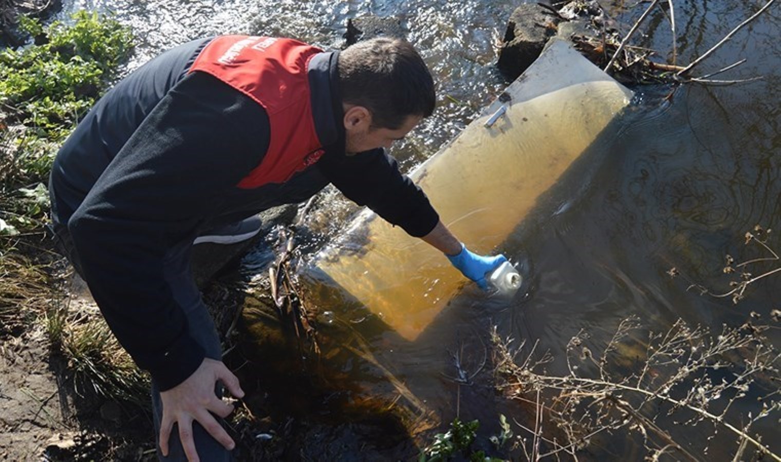 Saranlı Deresi’nde şüpheli balık ölümleri: İnceleme başlatıldı
