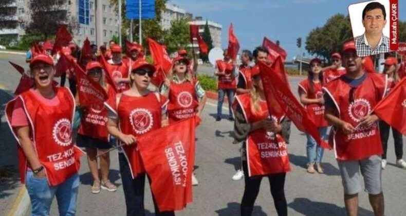 Sermayenin korkusu kâr azalışı