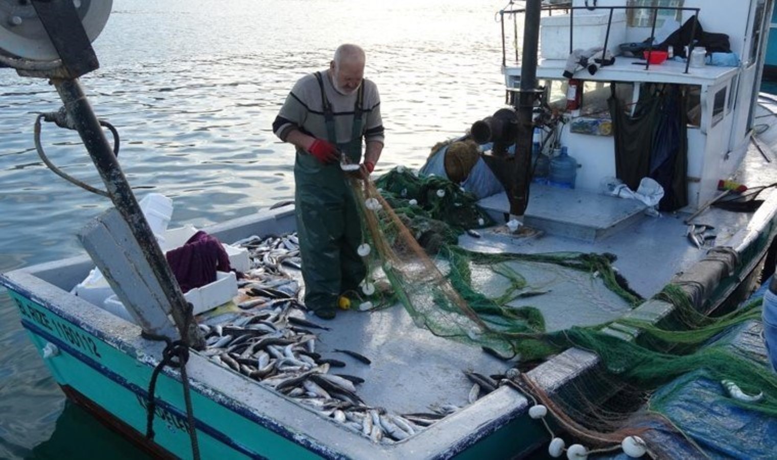 Son 30 yılın en bereketli sezonu! Günde 2 buçuk ton…