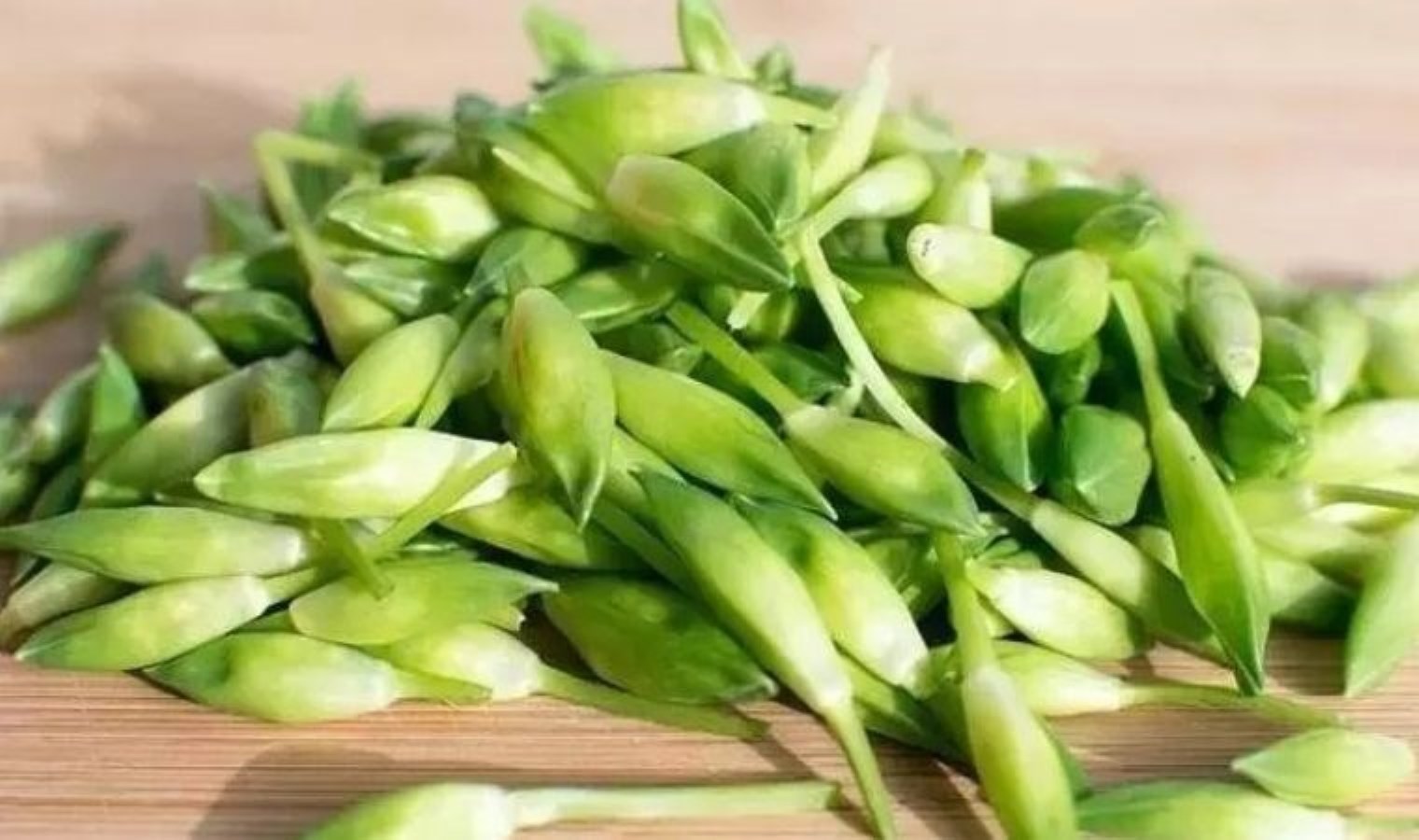 Tunceli’de özel yetişiyor: Kolesterolü anında dengeliyor