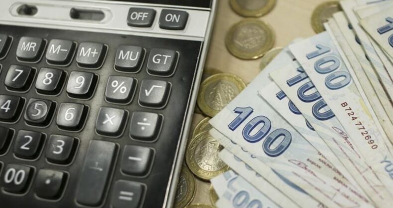 Türkiye’de en yüksek gelir grubunun aldığı pay yüzde 48,1