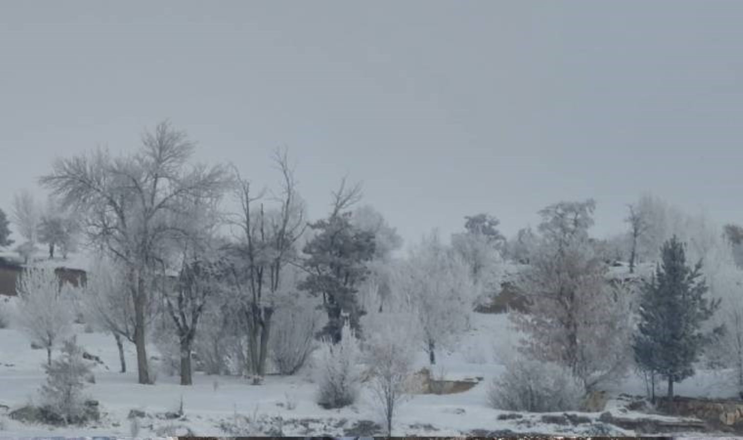 Türkiye’nin en düşük sıcaklığı Erzurum’da ölçüldü