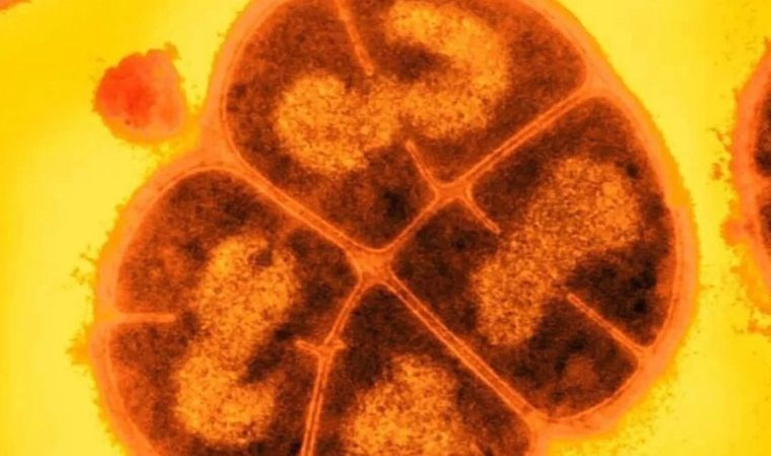 Uzay görevlerine çözüm: Radyasyona karşı yeni güç keşfedildi!