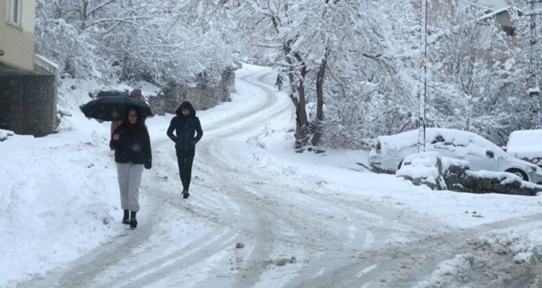 Van, Muş, Hakkari ve Bitlis’te kar etkili oldu