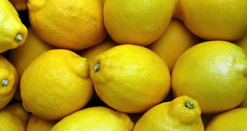 2024’te üretici ve market arasındaki fiyat farkında limon zirvede