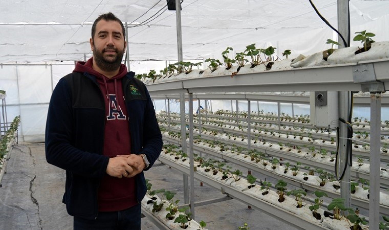 30 metrekarede deneme amaçlı ekti! Şimdi 10 katı büyüklükte yetiştiriyor…