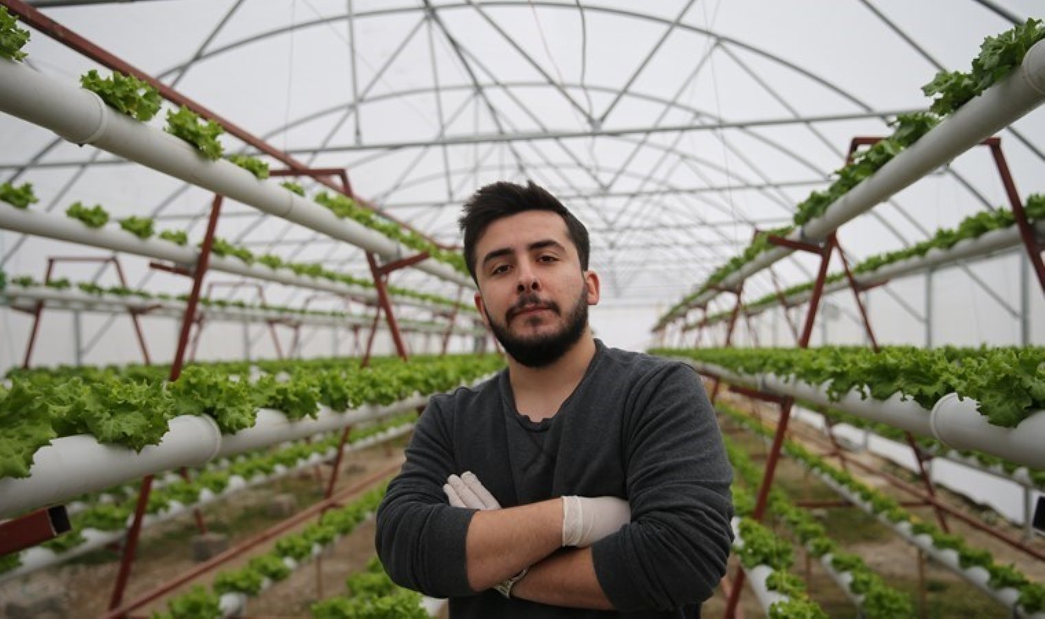 300 metrekarelik alanda 3 bin metrekarelik ürün yetiştiriyor! 40 günde bir hasat yapılıyor…
