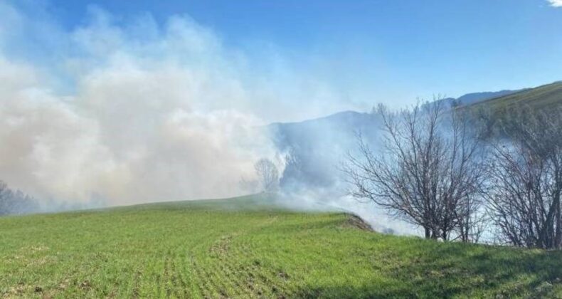 Adana’da orman yangını