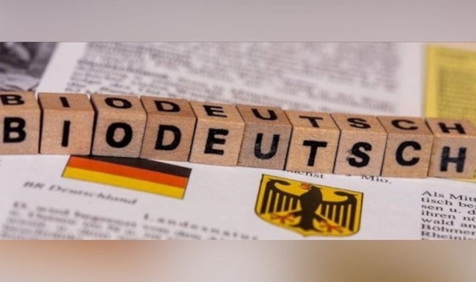 Almanya’da 2024’ün en kötü kelimesi belli oldu: Ayrımcılığı körüklüyor