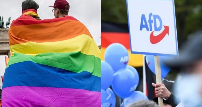 Anket: AfD, eşcinsel Alman erkekleri arasında birinci tercih.