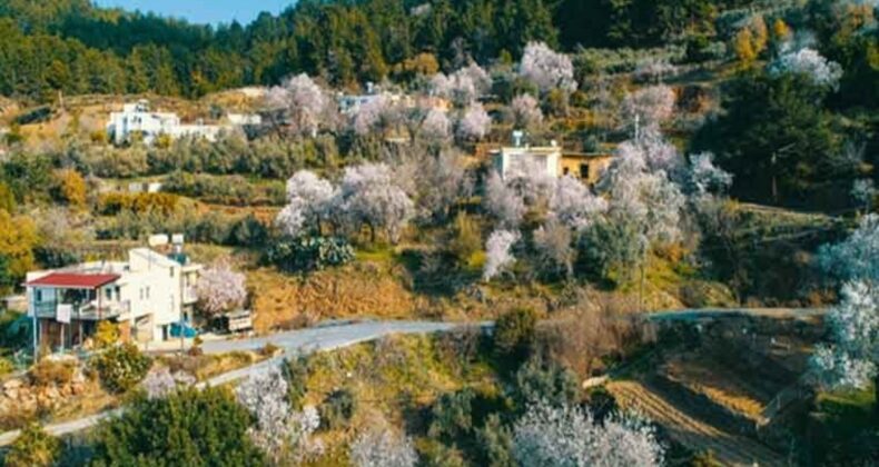 Antalya’da beklenmeyen gelişme: Üreticisi kara kara düşünüyor