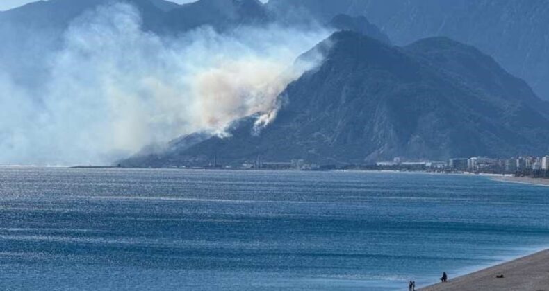 Antalya’da ormanlık alanda yangın: Ekipler sevk edildi!