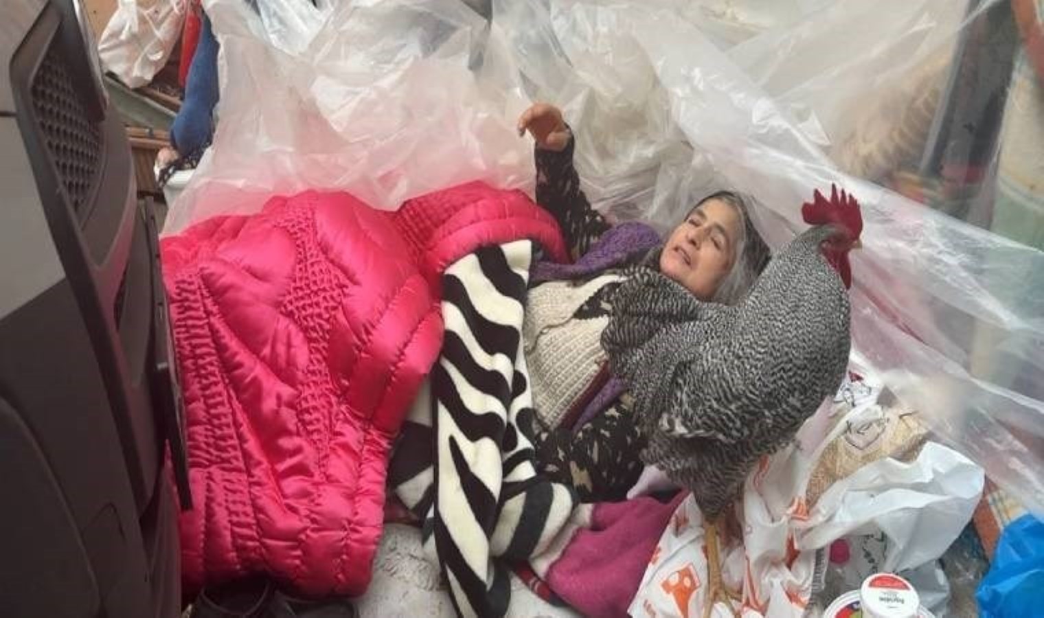 Avcılar’da çöp ev vakası! Evi pireler, fareler bastı… Kadın çöplerini alıp kaçtı